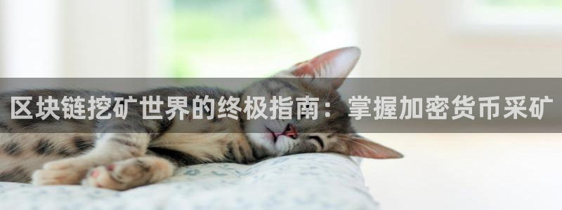 沐鸣2娱乐注册平台