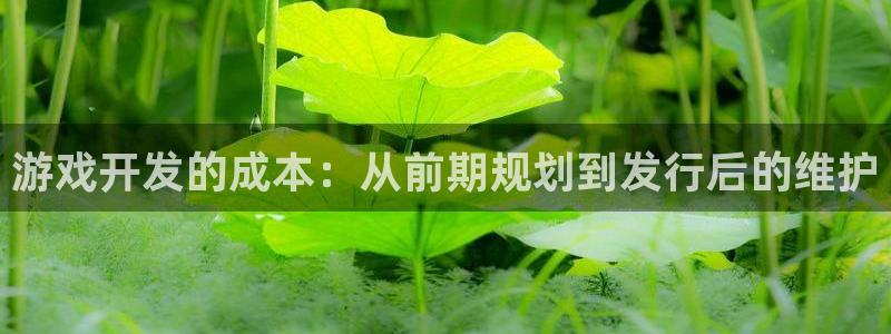 沐鸣2平台测速登录