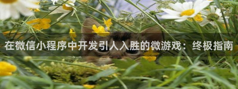 沐鸣2平台主管代理