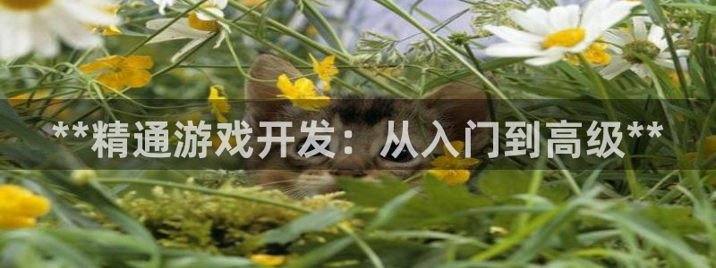 沐鸣2平台主管代理