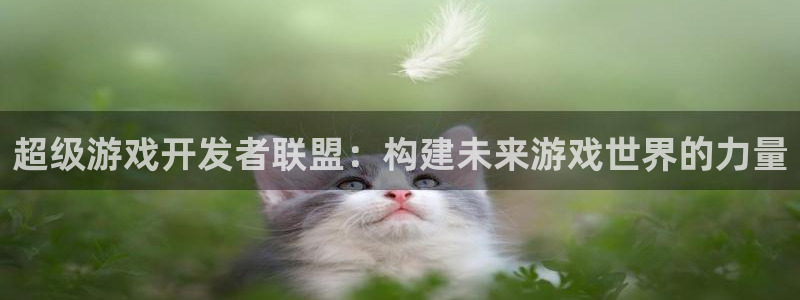 沐鸣娱乐2注册账号：超级游戏开发者联盟：构建未来游戏世界的力量