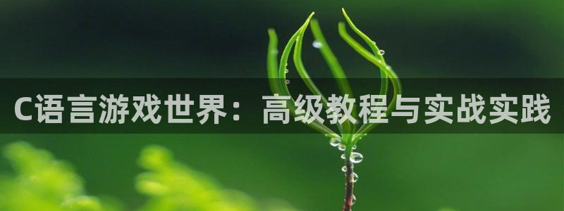 沐鸣2主管：C语言游戏世界：高级教程与实战实践