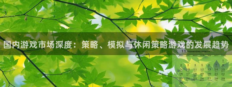 沐鸣2平台官方注册登录：国内游戏市场深度：策略、模拟与休闲策略游戏的发展趋势