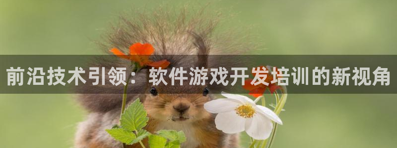 沐鸣2平台官网：前沿技术引领：软件游戏开发培训的新视角