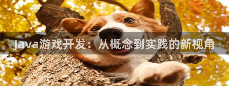 沐鸣娱乐2平台：Java游戏开发：从概念到实践的新视角