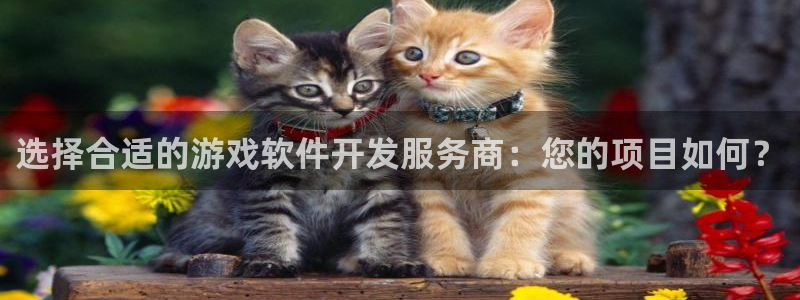 沐鸣2票35994度：选择合适的游戏软件开发服务商：您的项目如何？