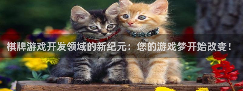 沐鸣2平台测速：棋牌游戏开发领域的新纪元：您的游戏梦开始改变！