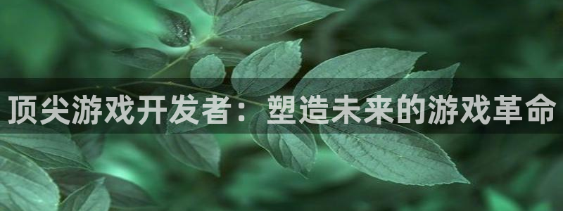 沐鸣2选 37OO735：顶尖游戏开发者：塑造未来的游戏革命