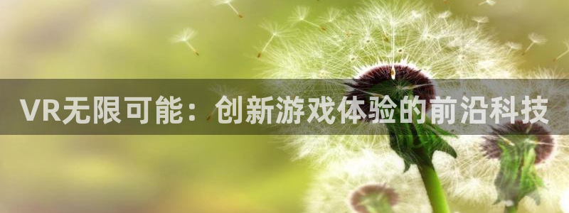 沐鸣2平台线路：VR无限可能：创新游戏体验的前沿科技