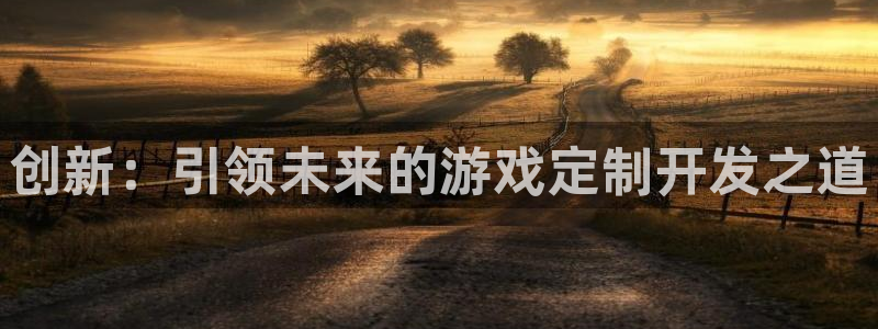 沐鸣2账号注册：创新：引领未来的游戏定制开发之道