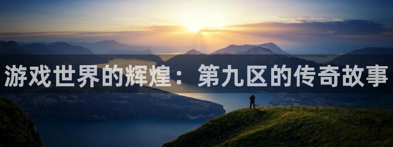 沐鸣2代理酋27337：游戏世界的辉煌：第九区的传奇故事