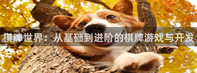 沐鸣2开户：棋牌世界：从基础到进阶的棋牌游戏与开发