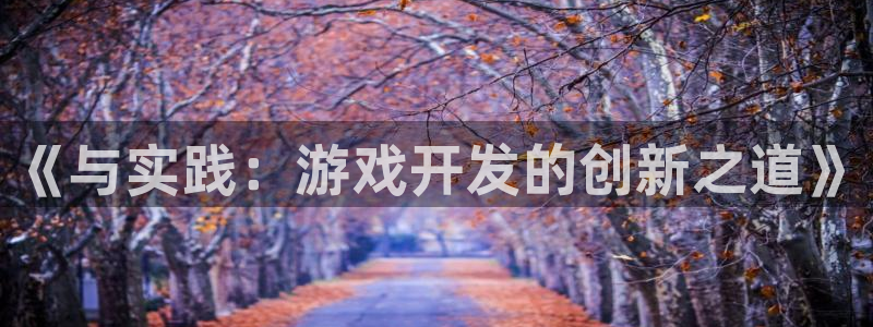 沐鸣娱乐2不能注册：《与实践：游戏开发的创新之道》