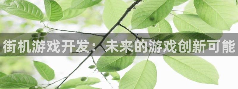沐鸣2登陆扣27337：街机游戏开发：未来的游戏创新可能