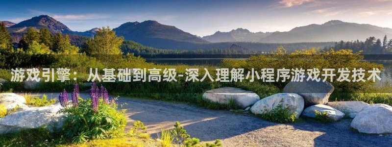 沐鸣2注册流程：游戏引擎：从基础到高级-深入理解小程序游戏开发技术