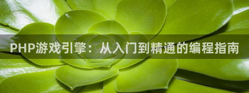 沐鸣2注册：PHP游戏引擎：从入门到精通的编程指南