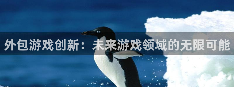沐鸣2娱乐平台注册：外包游戏创新：未来游戏领域的无限可能
