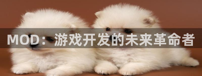 沐鸣2登录测速：MOD：游戏开发的未来革命者
