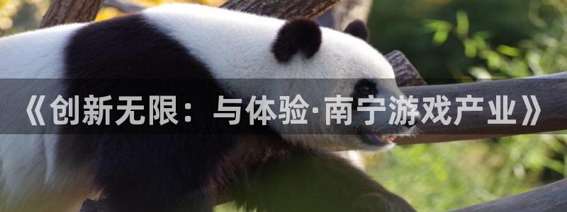 沐鸣2联盟：《创新无限：与体验·南宁游戏产业》