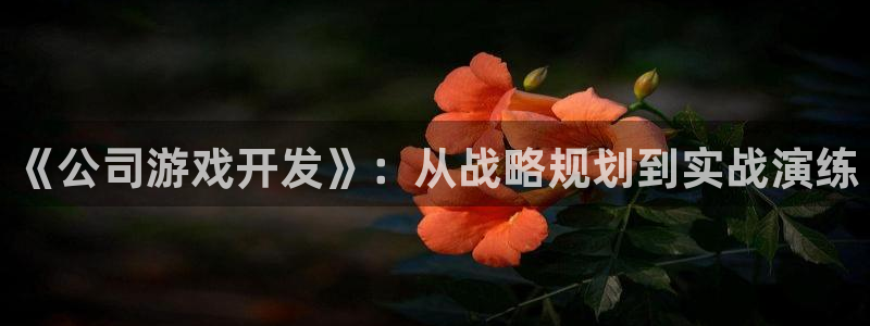 沐鸣娱乐2登录：《公司游戏开发》：从战略规划到实战演练