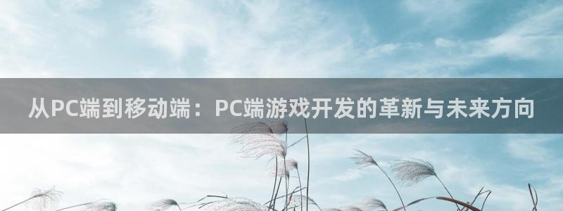 沐鸣2注册登录地址：从PC端到移动端：PC端游戏开发的革新与未来方向